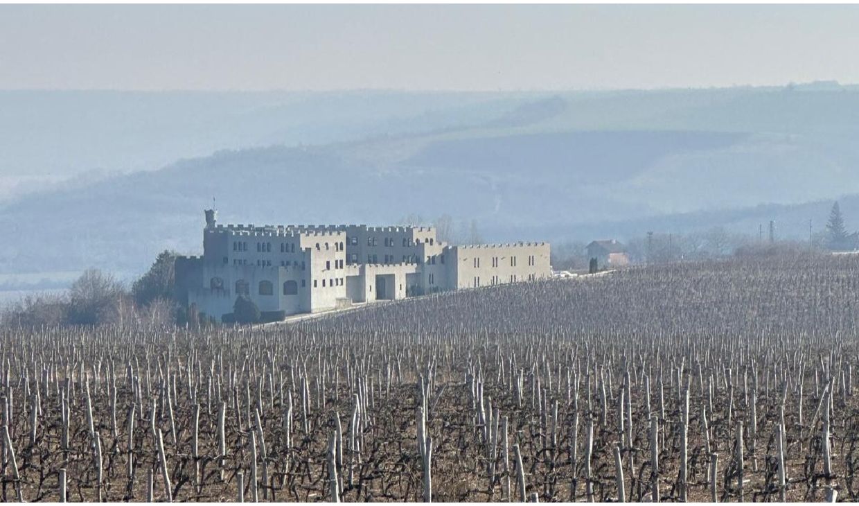 Danube River Viognier             