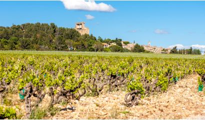 Domaine du Galet des Papes Châteauneuf-du-Pape