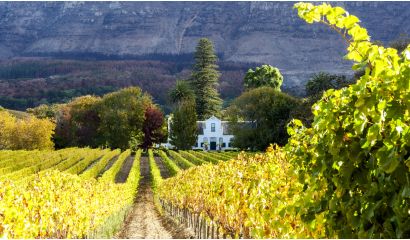 Avondrood Chardonnay Westkaap