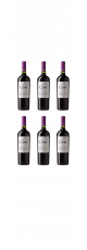 Aanbieding Caití Carménère Reserva Colchagua