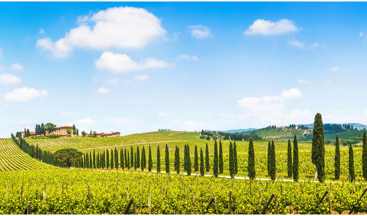 Tenuta di Trecciano Chianti Colli Senesi Riserva