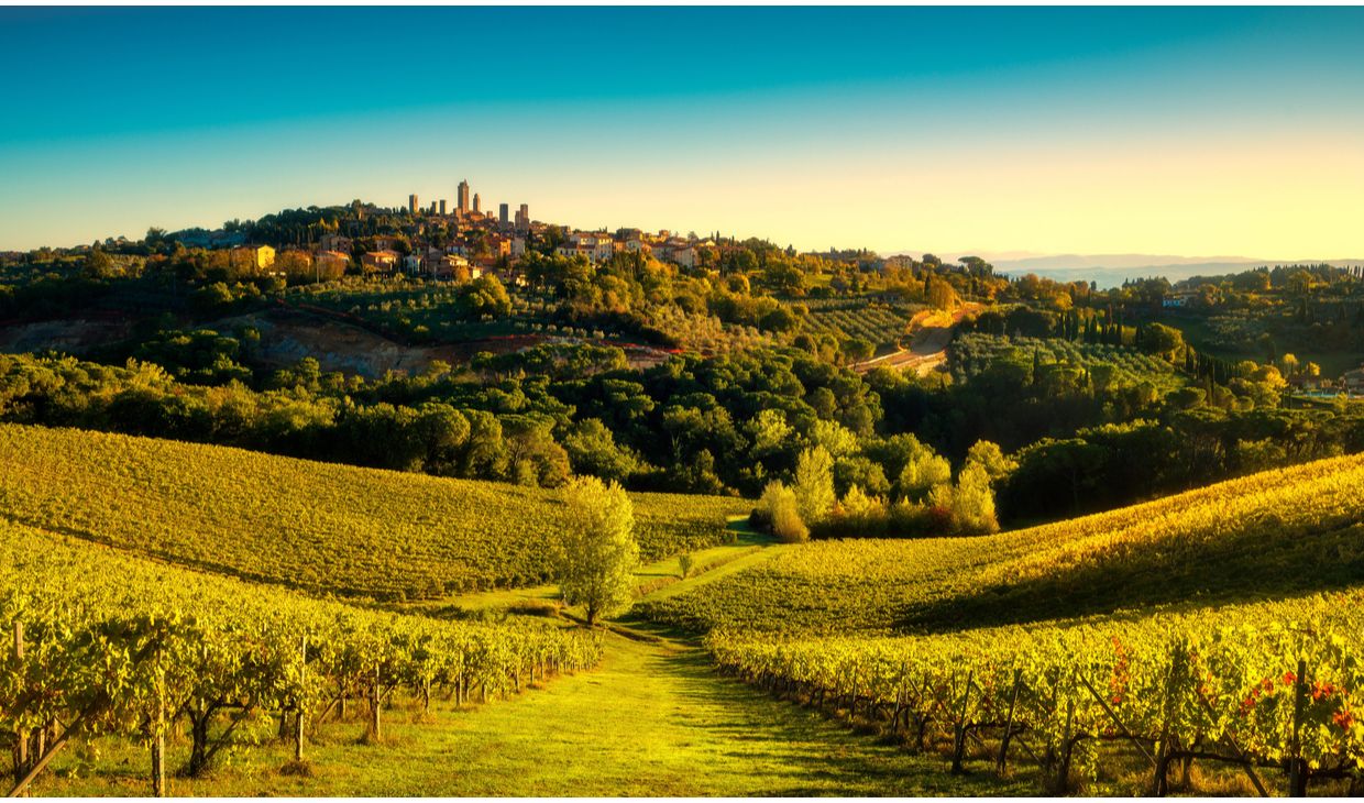 Rubicini Vernaccia di San Gimignano